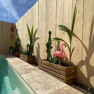 Mas Des Oliviers, Maison Avec Piscine Privative Et Chauffee Locamargue Les Saintes-Maries-de-la-Mer