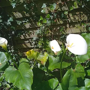  Appartement Joli Studio Avec Son Jardin Privatif